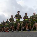 Pentagon demands human performance data from services in fitness overhaul
