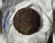 TSA stops Alabama traveler for Civil War-era cannonballs in luggage