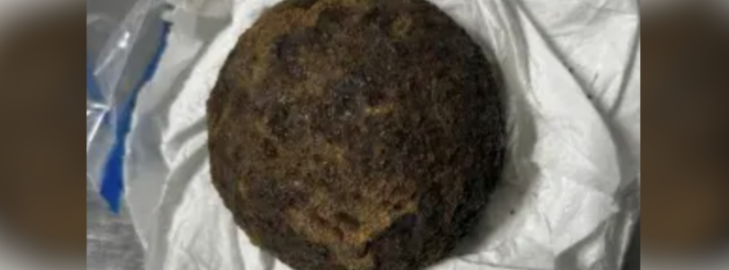 TSA stops Alabama traveler for Civil War-era cannonballs in luggage