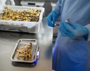Major VA study to examine effectiveness of psilocybin on depression, PTSD