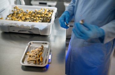 Major VA study to examine effectiveness of psilocybin on depression, PTSD