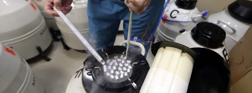 DoD to launch pilot for some service members to freeze sperm, eggs