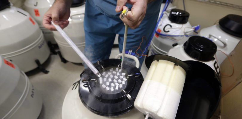 DoD to launch pilot for some service members to freeze sperm, eggs