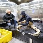 US Army, Navy research labs team up to combat Arctic cold
