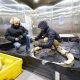 US Army, Navy research labs team up to combat Arctic cold